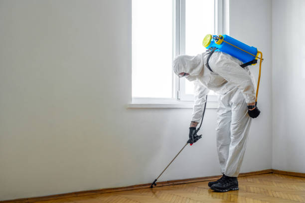 Best Residential Pest Control  in Maysville, GA