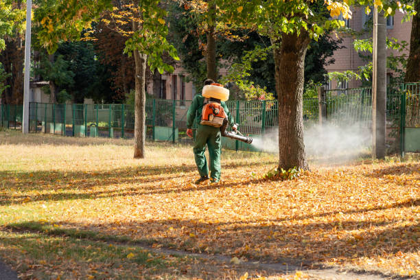 Best Insect Control  in Maysville, GA