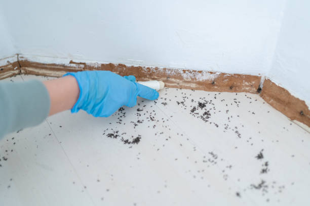 Best Commercial Pest Control Services  in Maysville, GA